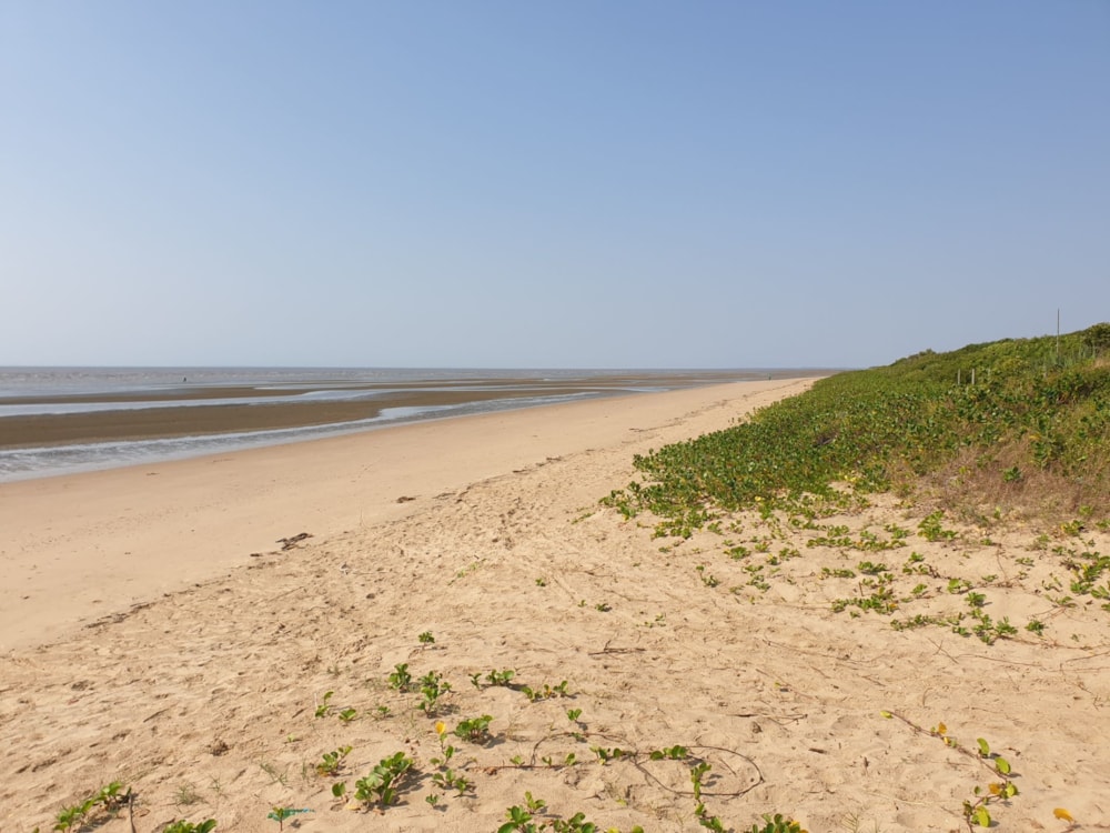 Vacant land for investment in Catembe, Mozambique - 3MQ1612890 Vacant land for investment in Catembe, Mozambique - 3MQ1612890