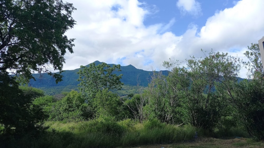 Residential vacant land for sale in Petite Riviere Noire, Mauritius - MUR1612789