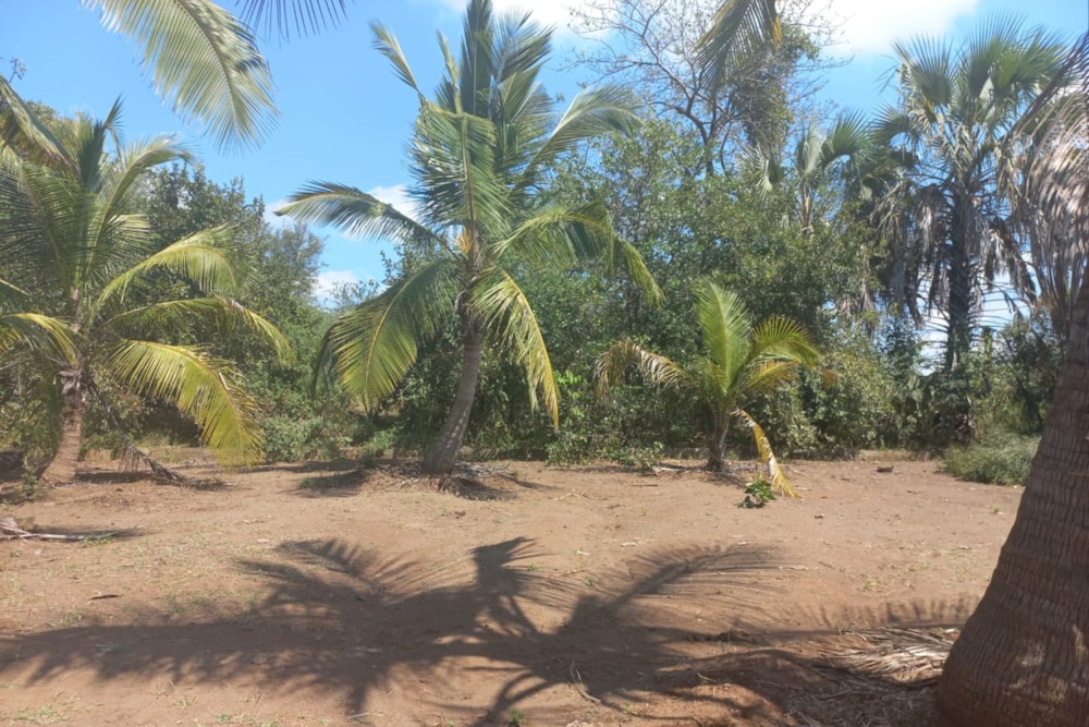 Vacant land for investment in Moatize, Mozambique - 3MQ1613329