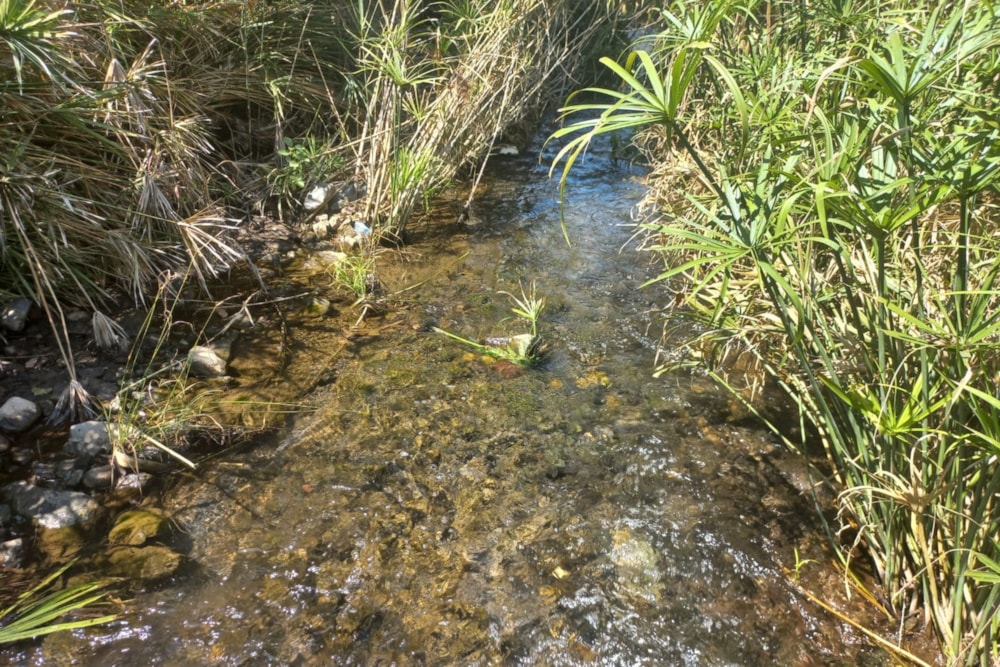 Vacant land for investment in Moatize, Mozambique - 3MQ1613329