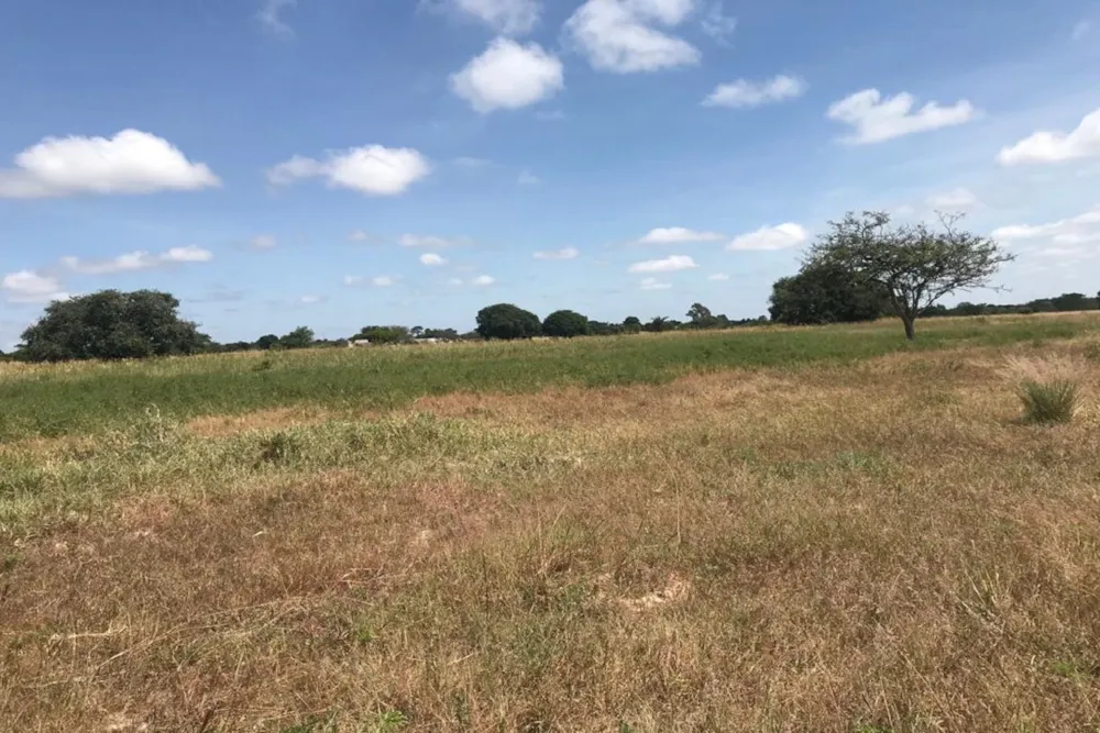 Farm vacant land for sale in Chibombo, Zambia - 3ZA1613574