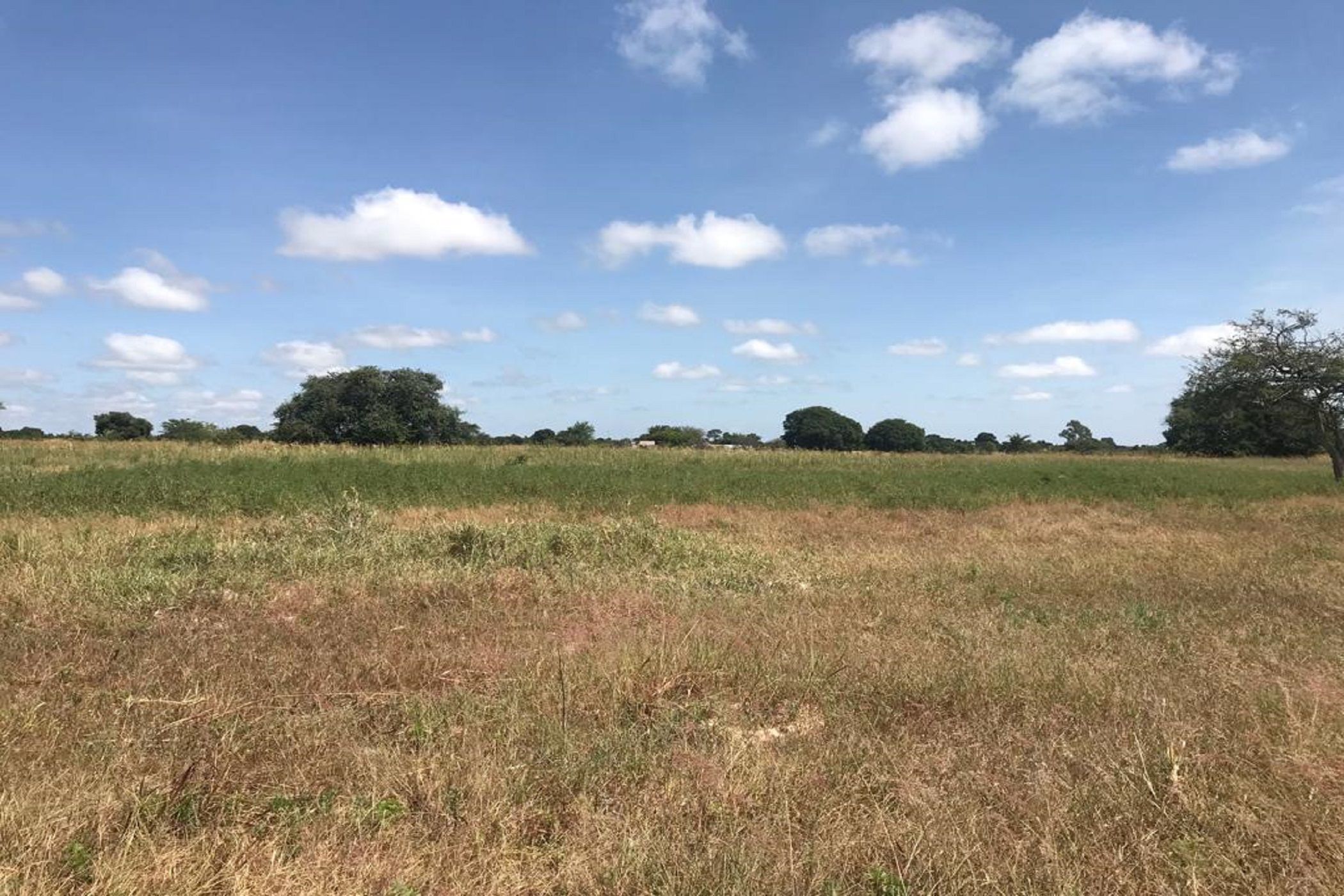 Farm vacant land for sale in Chibombo, Zambia - 3ZA1613574