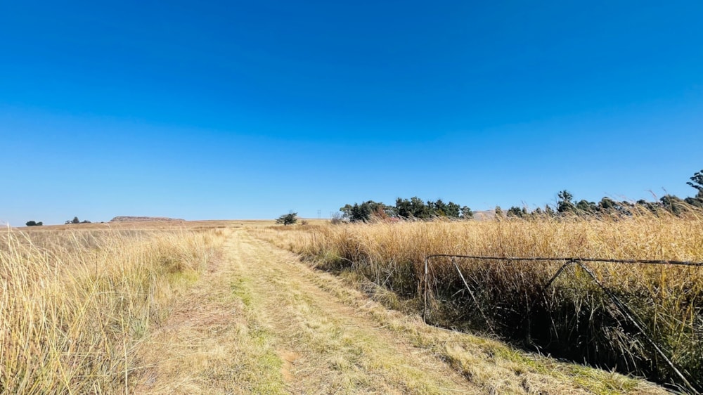 Smallholding for sale in Wakkerstroom - 1NW1614126