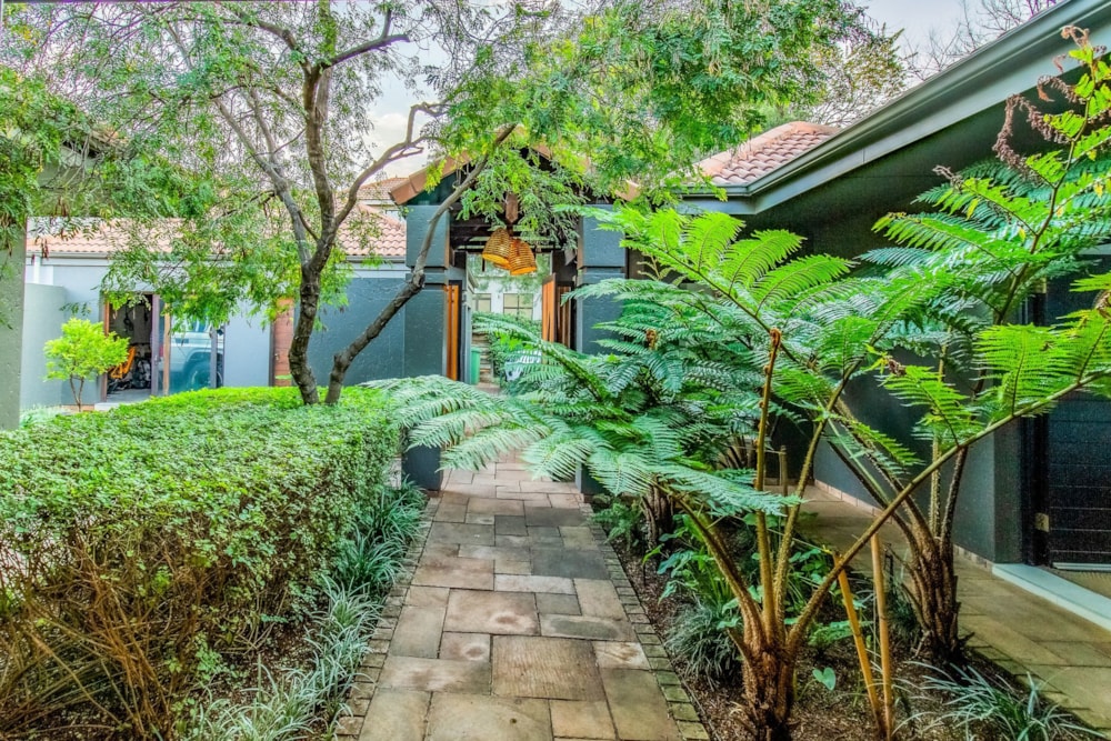 House let in Pecanwood - 1HR1692266 House let in Pecanwood - 1HR1692266