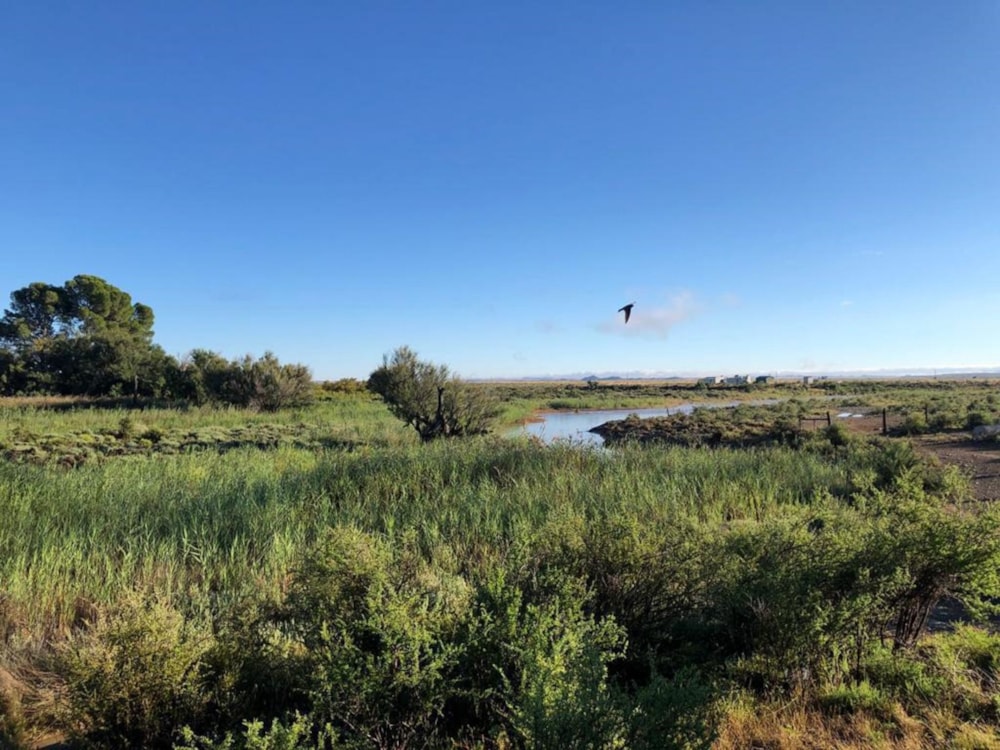 Livestock farm for sale in Victoria West - 1KK1614377 Livestock farm for sale in Victoria West - 1KK1614377