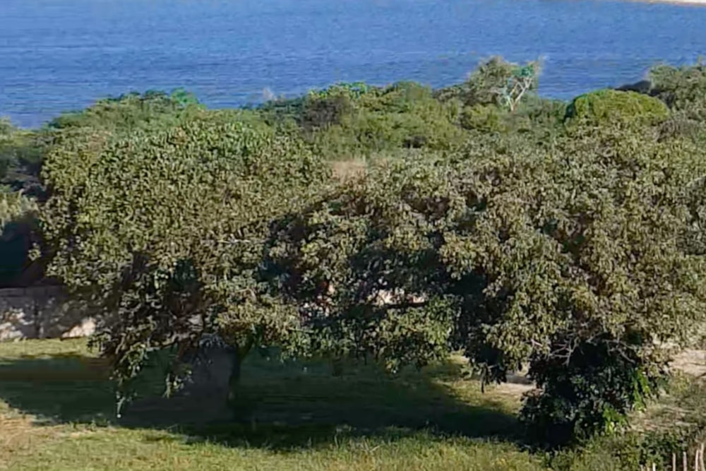 Vacant land for investment in Bilene, Mozambique - 3MQ1614720