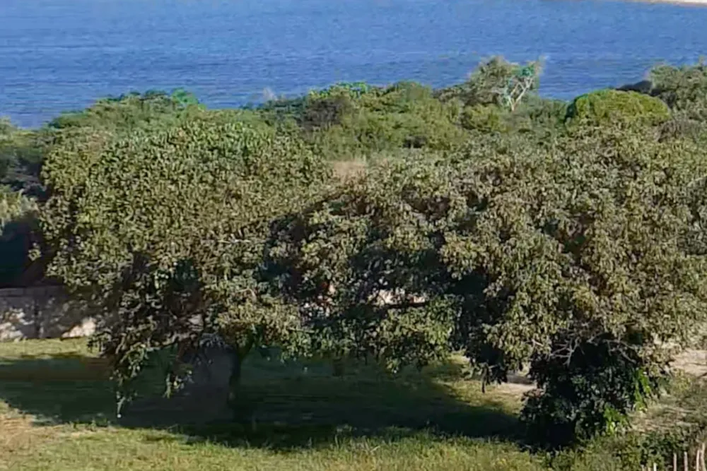 Vacant land for investment in Bilene, Mozambique - 3MQ1614720 Vacant land for investment in Bilene, Mozambique - 3MQ1614720