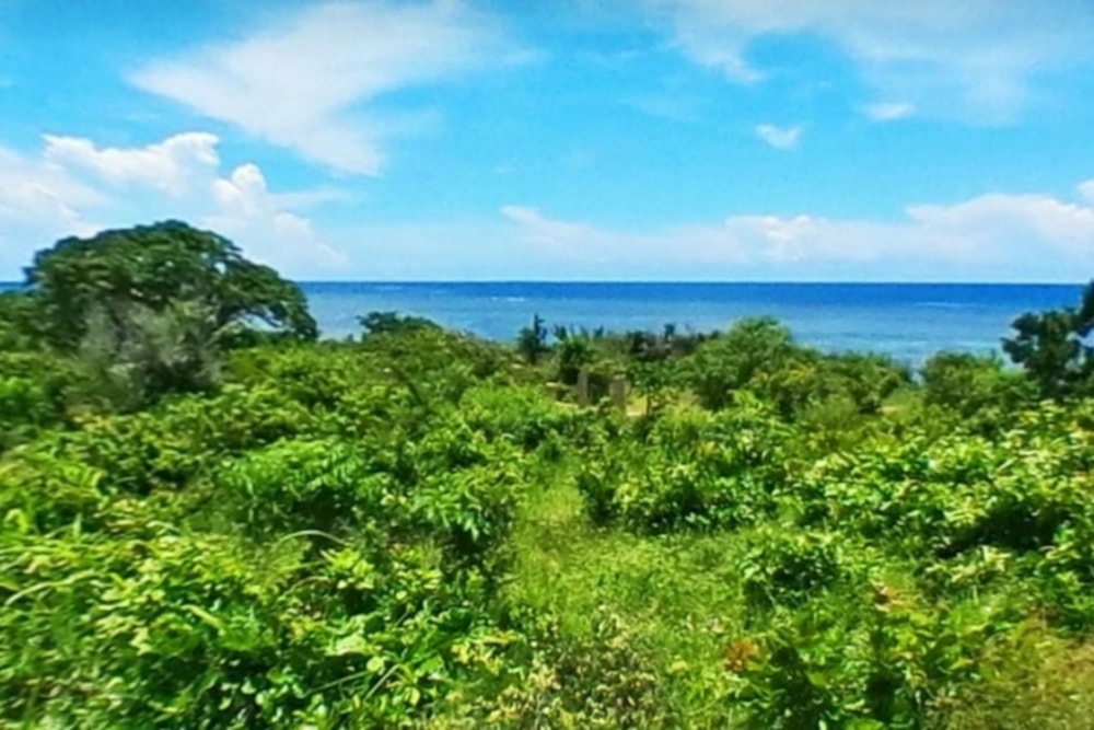 Vacant land for investment in Pemba, Cabo Delgado, Mozambique - 3MQ1614821