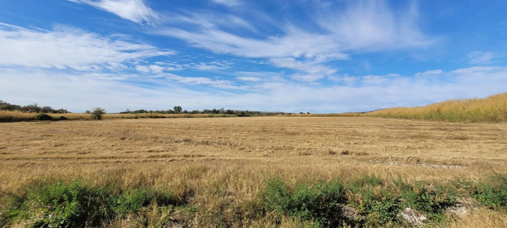 Irrigation farm for sale in Groblershoop - 1KJ1618893