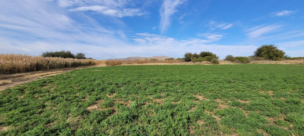 Irrigation farm for sale in Groblershoop - 1KJ1618893