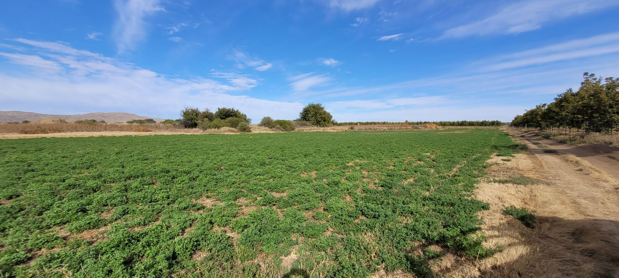 Irrigation farm for sale in Groblershoop - 1KJ1618893
