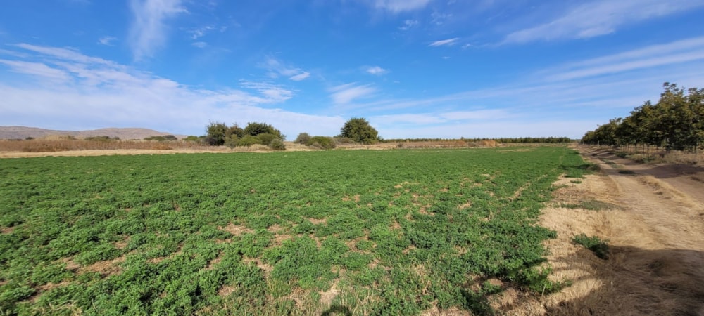 Irrigation farm for sale in Groblershoop - 1KJ1618893