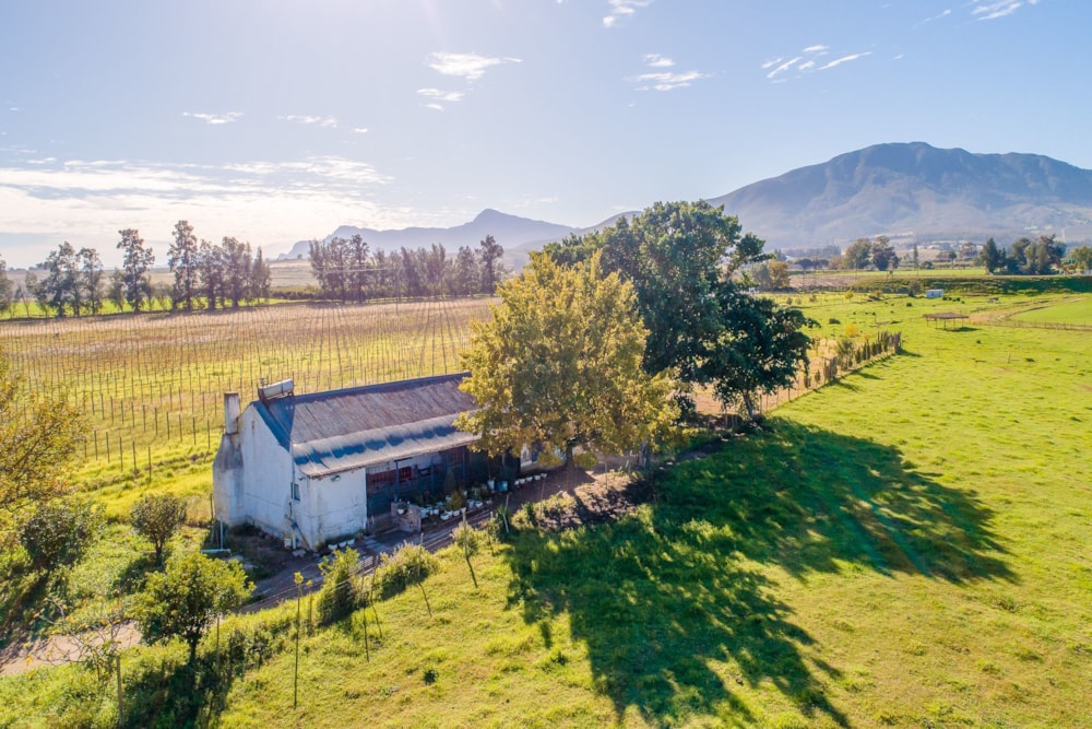 Wine farm for sale in Wellington Rural - TK1615683 Wine farm for sale in Wellington Rural - TK1615683