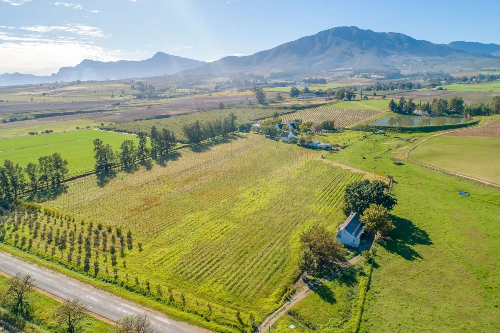 Wine farm for sale in Wellington Rural - TK1615683 Wine farm for sale in Wellington Rural - TK1615683
