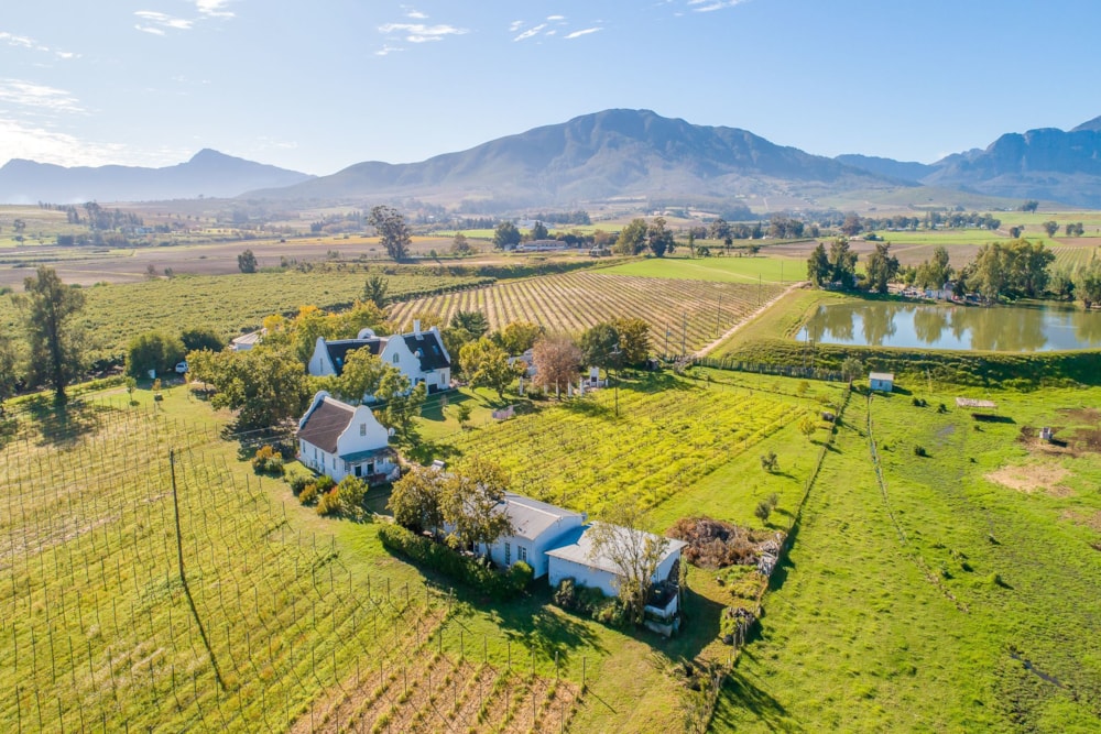 Wine farm for sale in Wellington Rural - TK1615683 Wine farm for sale in Wellington Rural - TK1615683