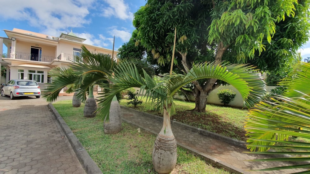 House for sale in Flic en Flac, Mauritius - MUR1616088 House for sale in Flic en Flac, Mauritius - MUR1616088