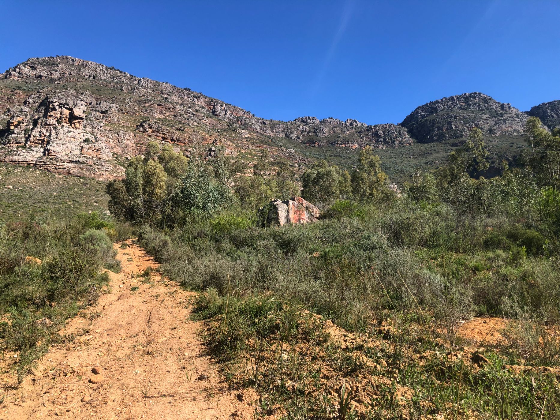 Vacant land for sale in Riebeek West - RV1200052