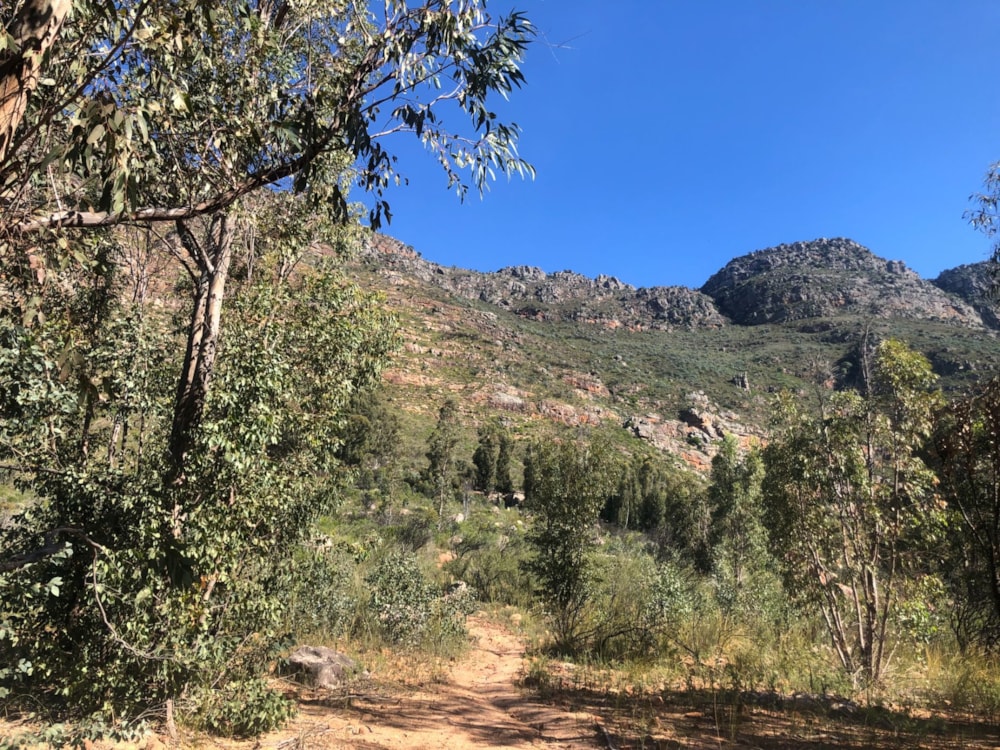 Vacant land for sale in Riebeek West - RV1200052 Vacant land for sale in Riebeek West - RV1200052