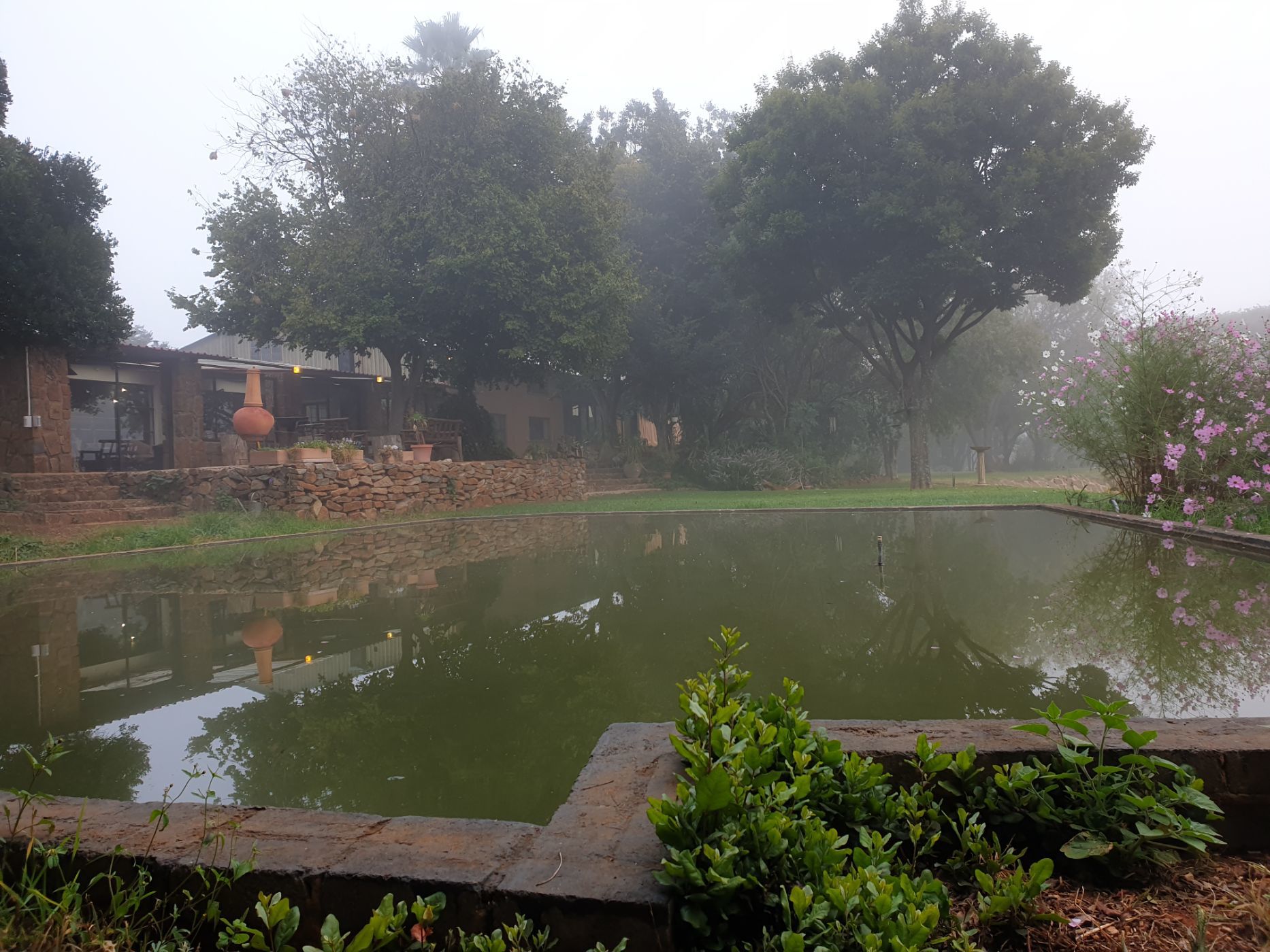 Mixed use farm for sale in Dullstroom - 1DS1613116