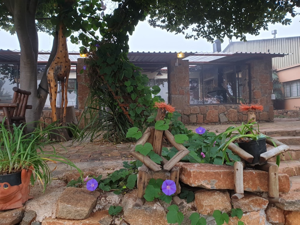 Mixed use farm for sale in Dullstroom - 1DS1613116