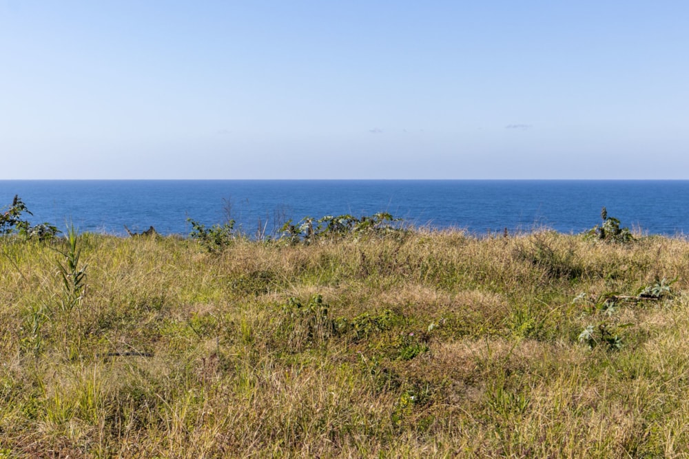Residential vacant land for sale in Amanzimtoti - 1WB1617535 Residential vacant land for sale in Amanzimtoti - 1WB1617535