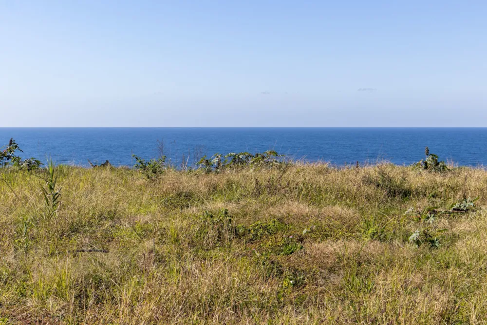 Residential vacant land for sale in Amanzimtoti - 1WB1617535 Residential vacant land for sale in Amanzimtoti - 1WB1617535