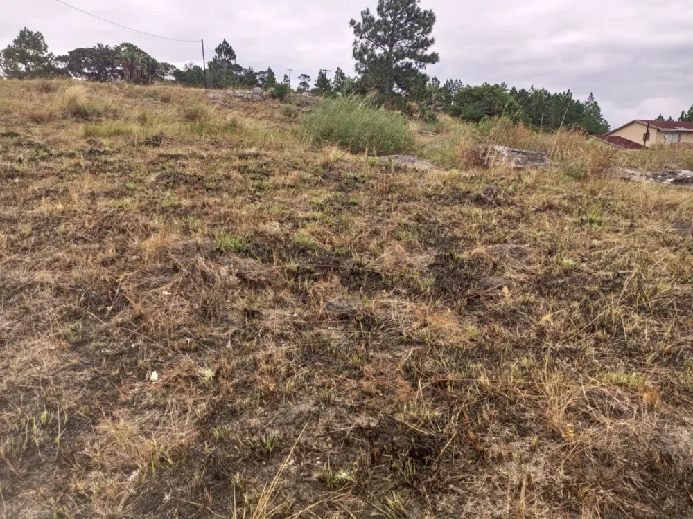 Vacant land for sale in Margate - 1PX1616811 Vacant land for sale in Margate - 1PX1616811