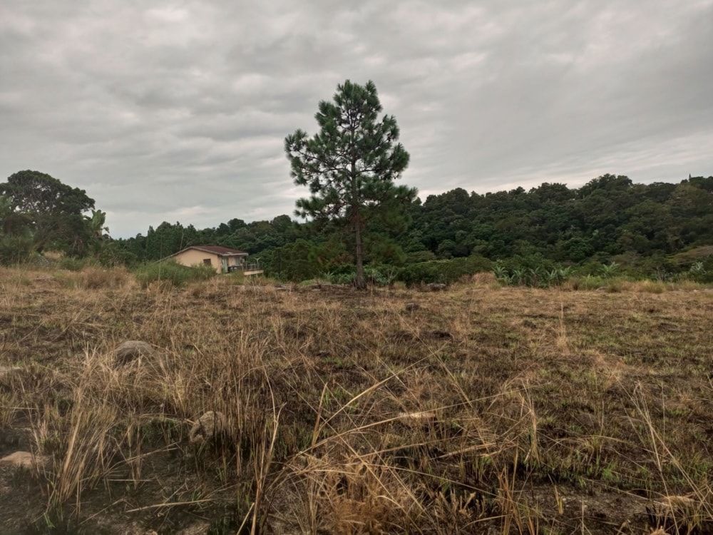 Vacant land for sale in Margate - 1PX1616811