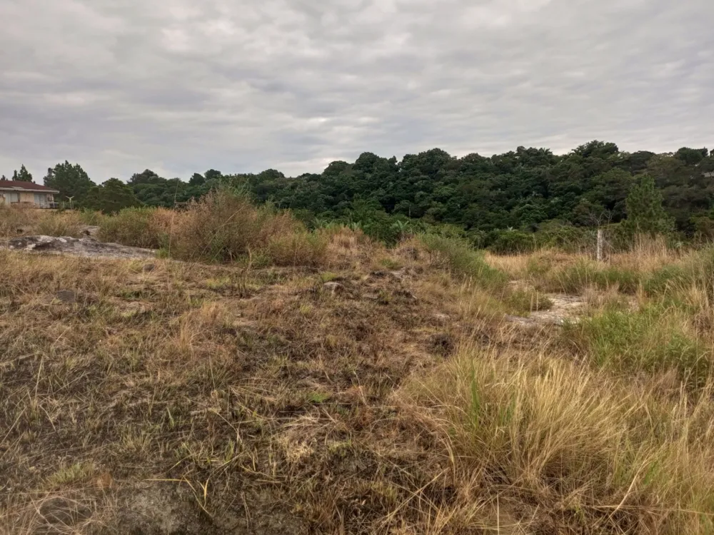 Vacant land for sale in Margate - 1PX1616811 Vacant land for sale in Margate - 1PX1616811