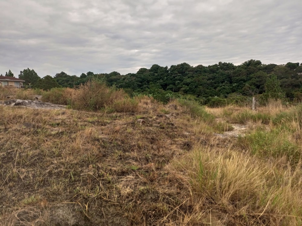 Vacant land for sale in Margate - 1PX1616811