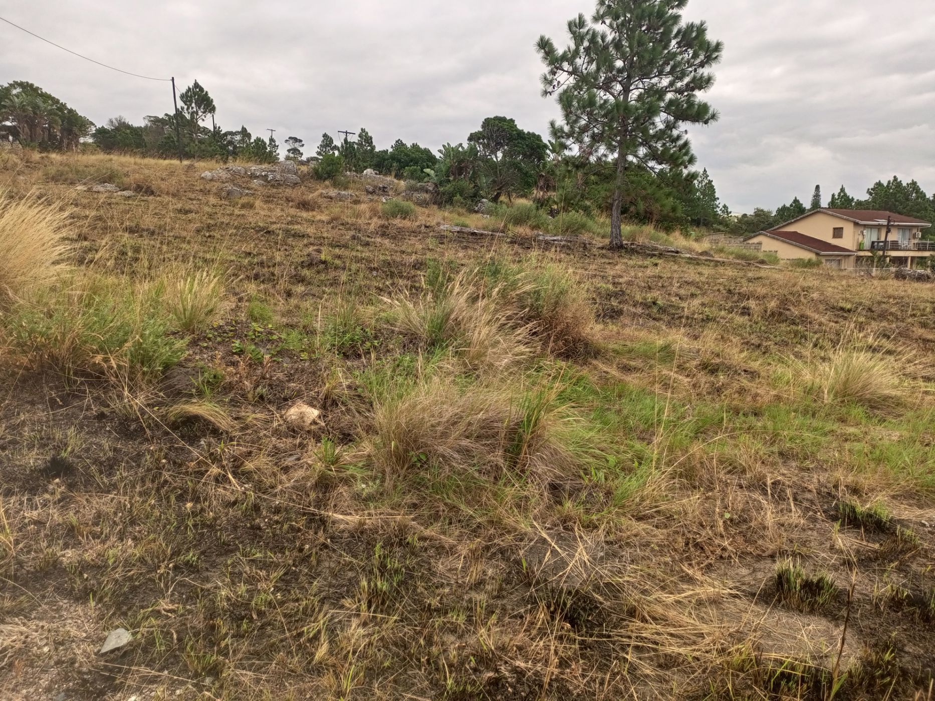 Vacant land for sale in Margate - 1PX1616812