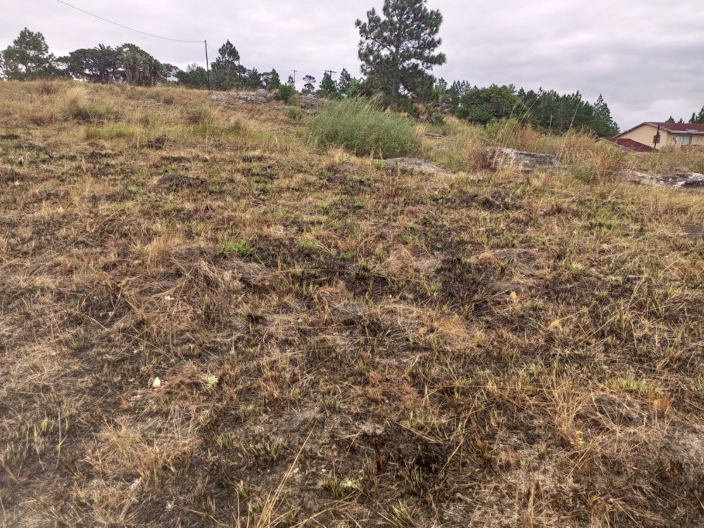 Vacant land for sale in Margate - 1PX1616812