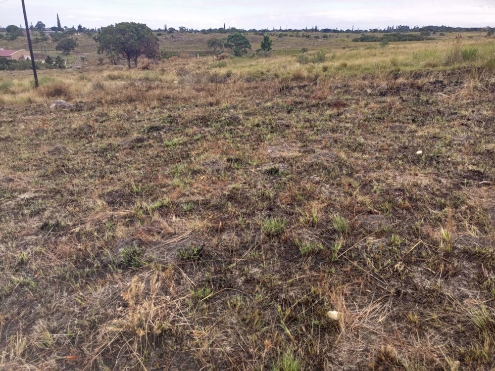 Vacant land for sale in Margate - 1PX1616812