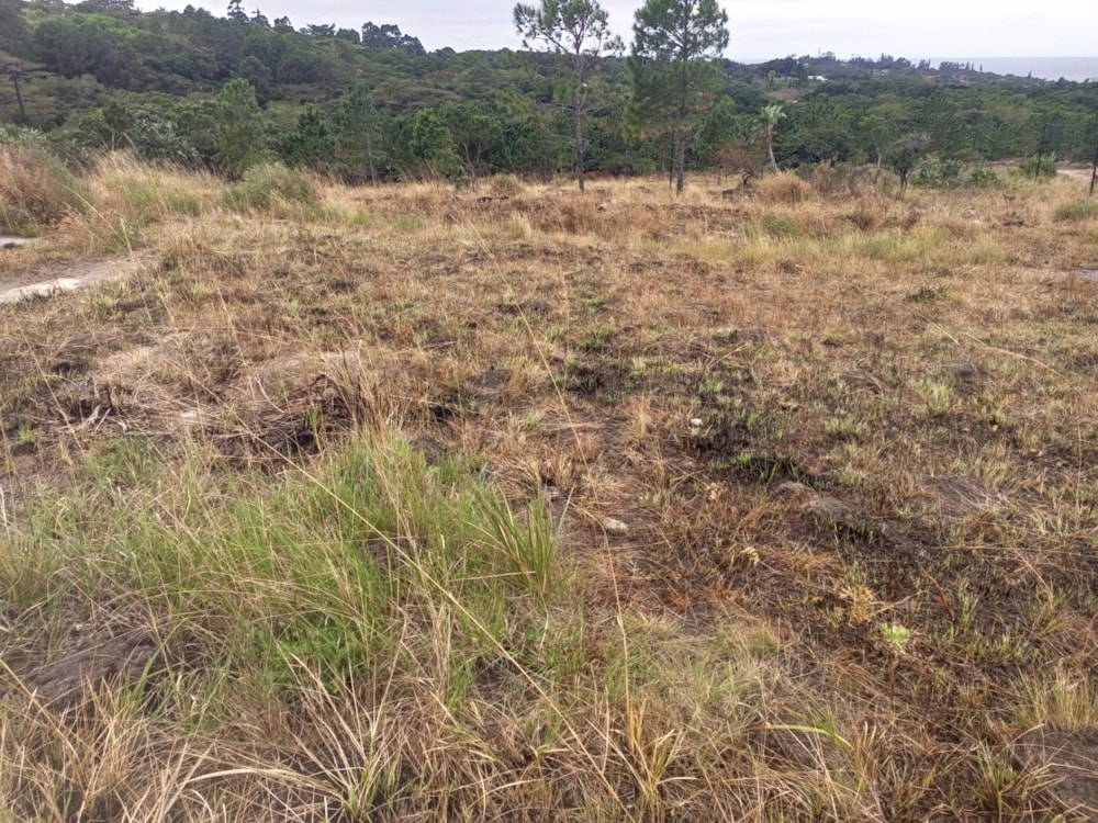 Vacant land for sale in Margate - 1PX1616812