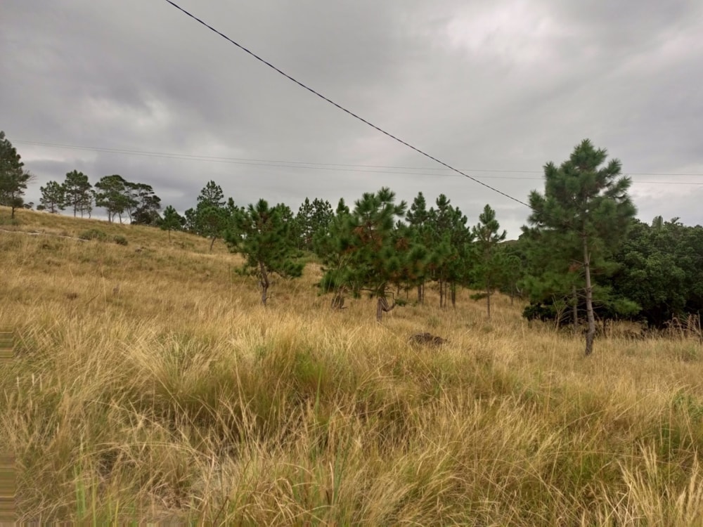 Vacant land for sale in Margate - 1PX1616815