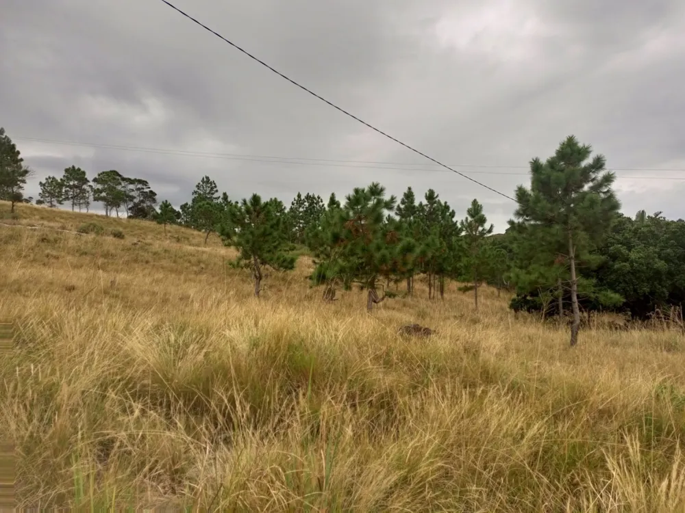 Vacant land for sale in Margate - 1PX1616815 Vacant land for sale in Margate - 1PX1616815