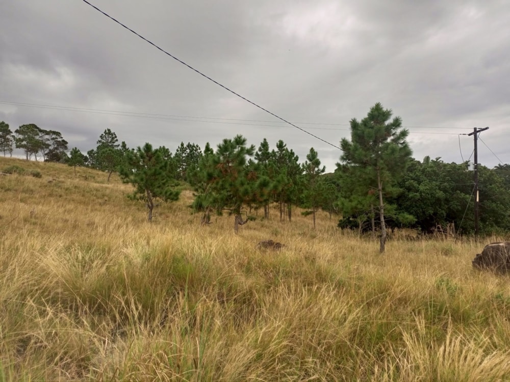 Vacant land for sale in Margate - 1PX1616815