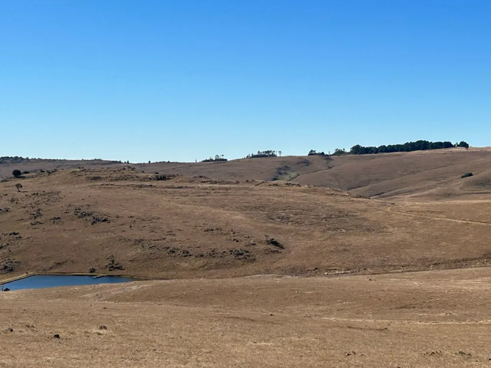 Vacant land for sale in Dullstroom - 1DS1616634