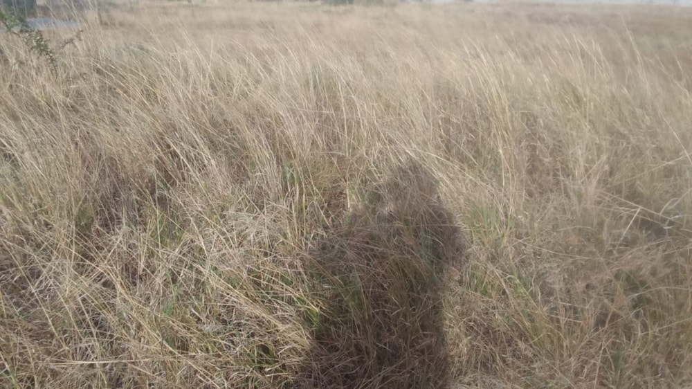 House for sale in Southridge Park - 1MH1603056