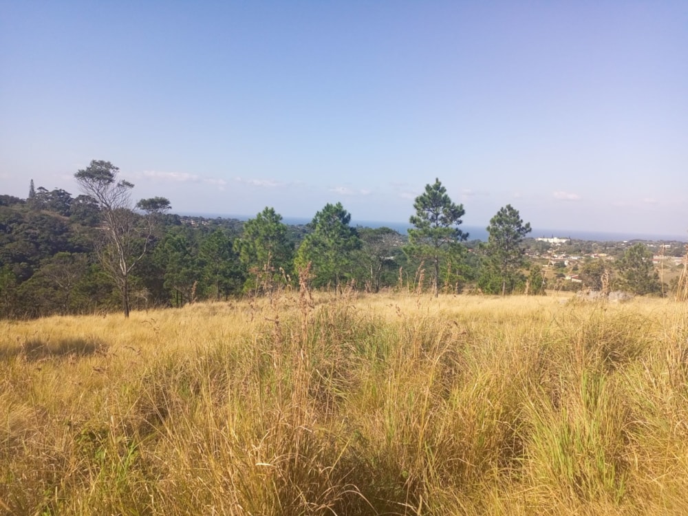 Vacant land for sale in Margate - 1PX1616814