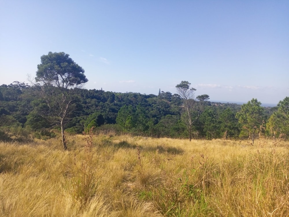 Vacant land for sale in Margate - 1PX1616814