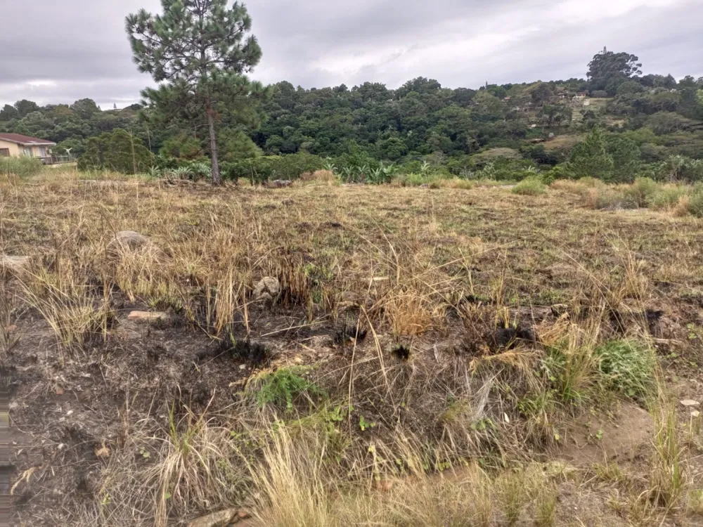 Residential vacant land for sale in Margate - 1PX1616419 Residential vacant land for sale in Margate - 1PX1616419