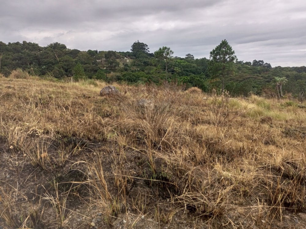 Residential vacant land for sale in Margate - 1PX1616419