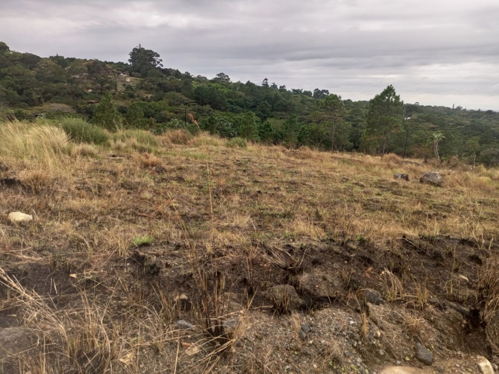 Residential vacant land for sale in Margate - 1PX1616419