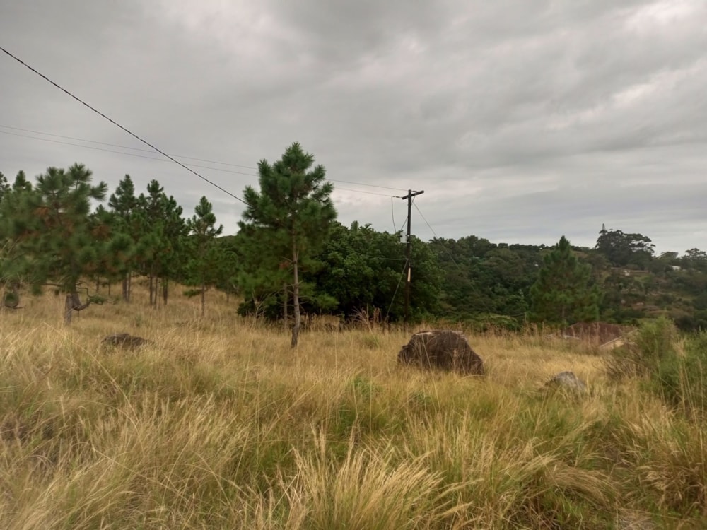 Vacant land for sale in Margate - 1PSH1706840