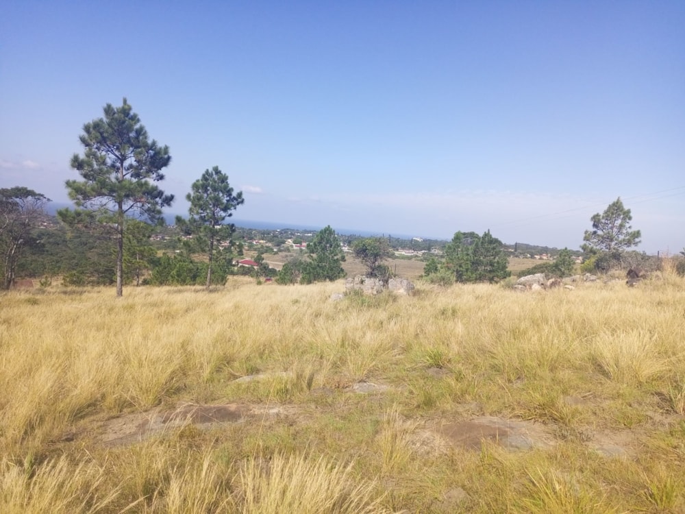 Vacant land for sale in Margate - 1PSH1706840