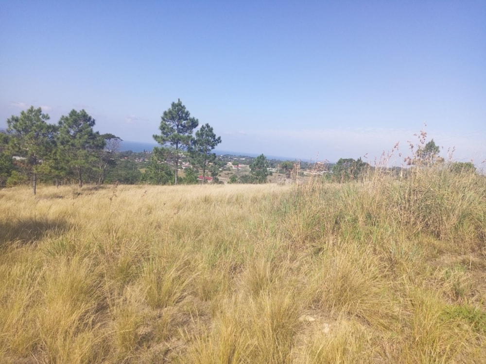 Vacant land for sale in Margate - 1PSH1706840