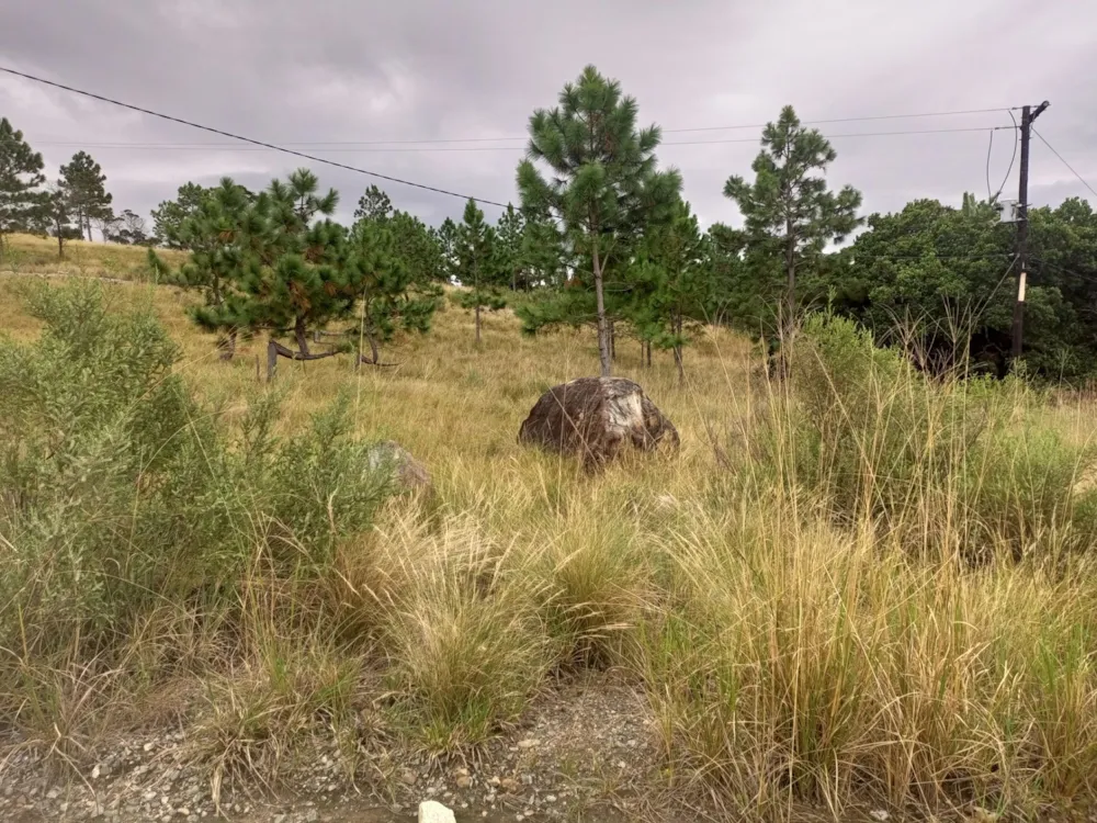 Vacant land for sale in Margate - 1PSH1706840
