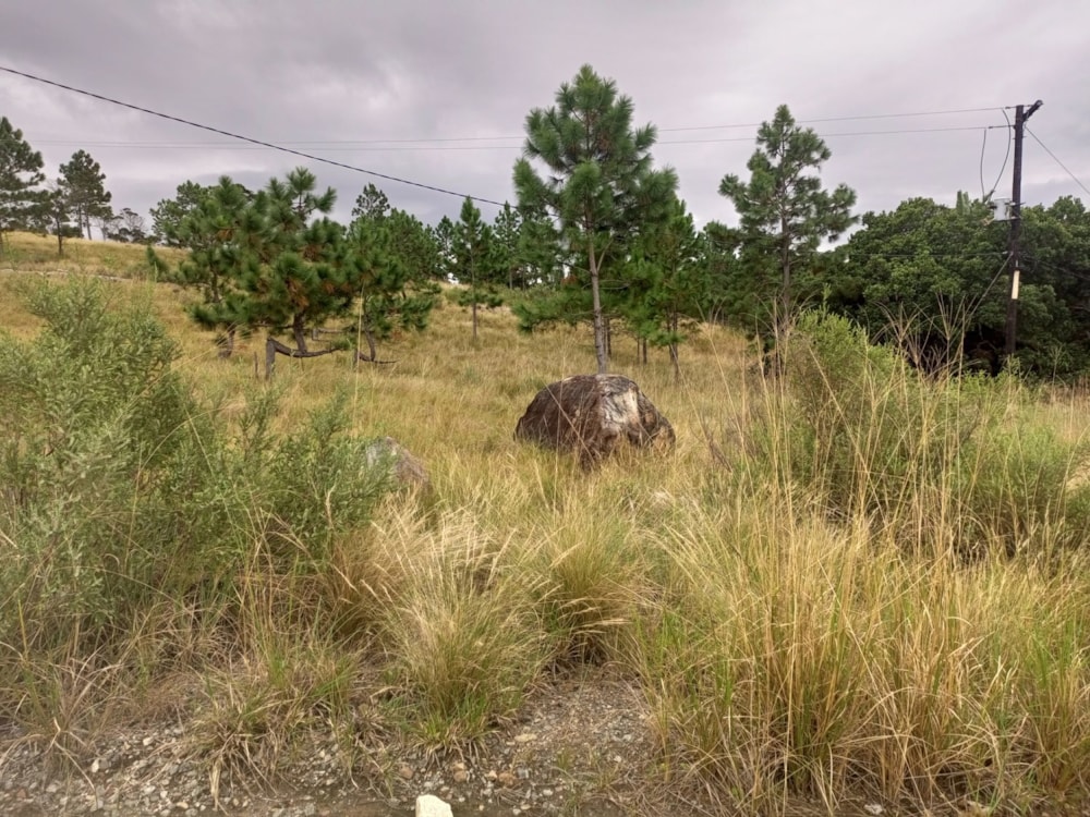 Vacant land for sale in Margate - 1PSH1706840