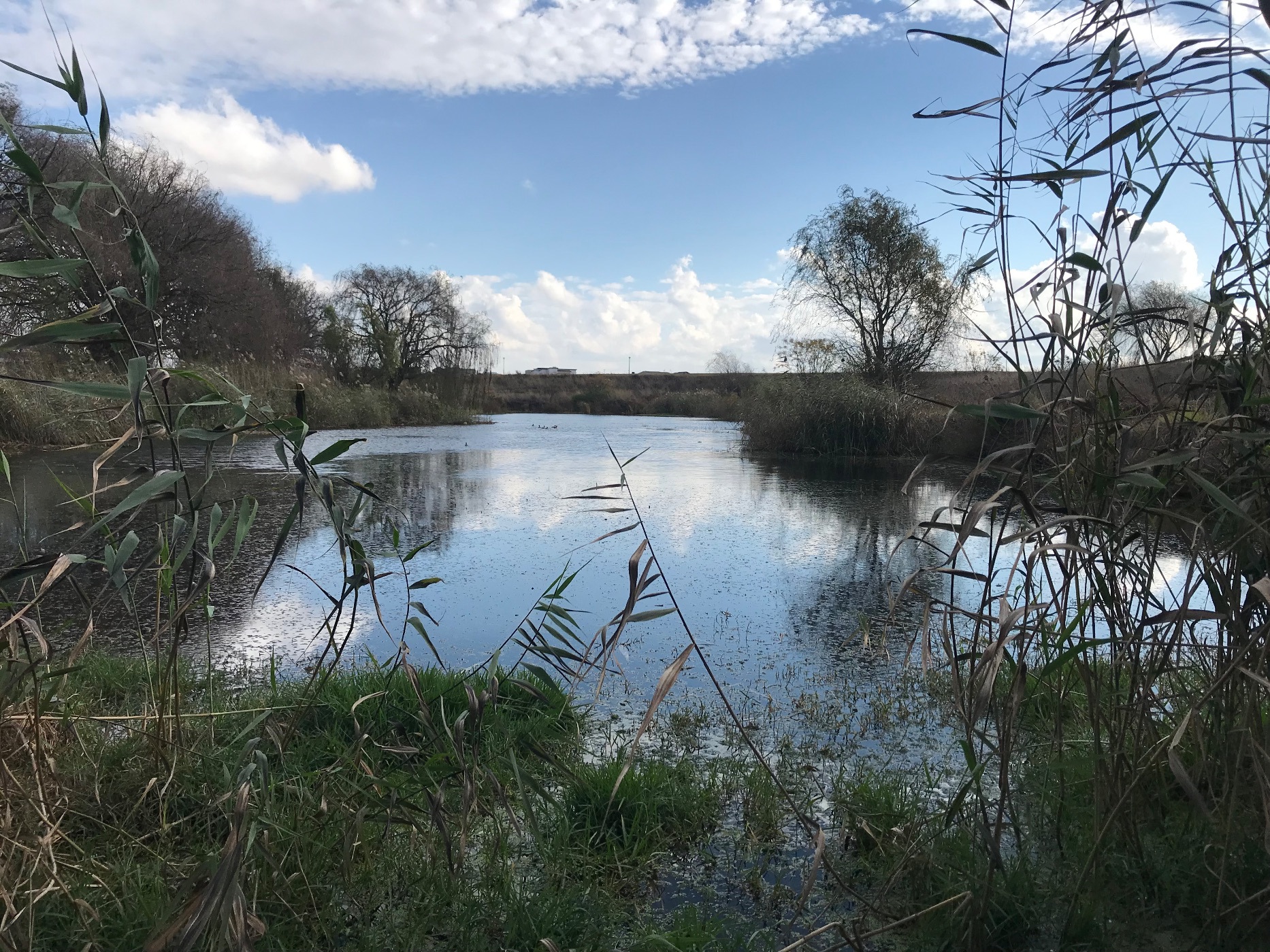 Vacant land for sale in Summer Place Estate - PRN1616082